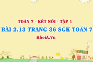 Bài 2.13 trang 36 SGK Toán 7 tập 1 Kết nối tri thức